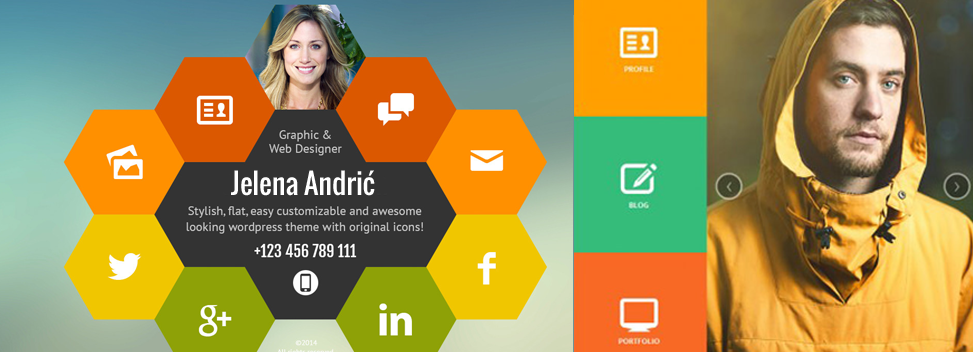 Web CV
